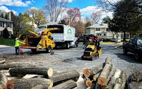 Best Leaf Removal  in Cottage Grove, WI